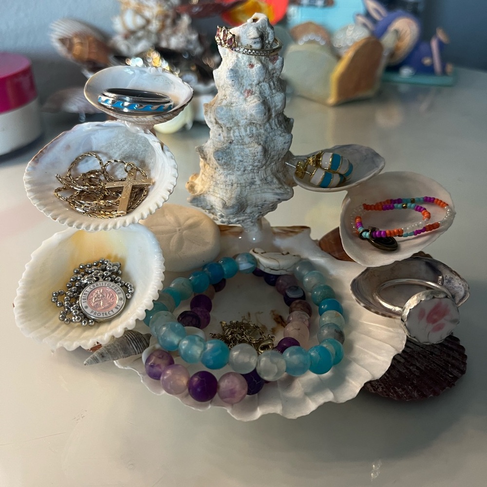 Seashell Jewelry Display with Bracelets and Rings